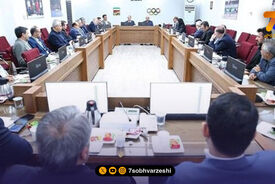 علی‌نژاد: برای کسب سهمیه در خاک آمریکا، برنامه اعزام را حداقل شش ماه زودتر اعلام کنید