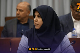 اینچه‌درگاهی: سخت است به آدم بگویند دزد!